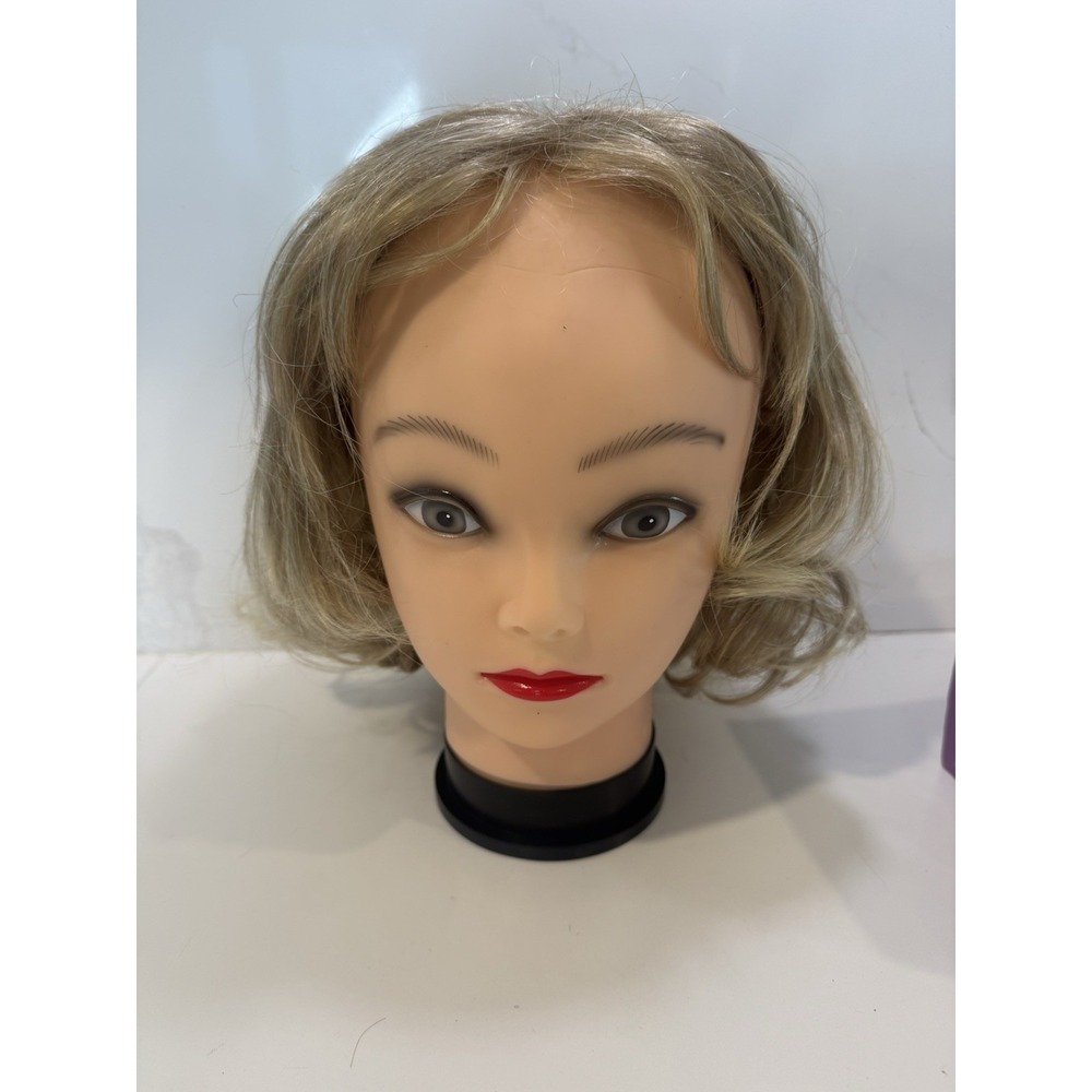 Paula Young Wig W Box Style A8190 Taylor Color 14/88